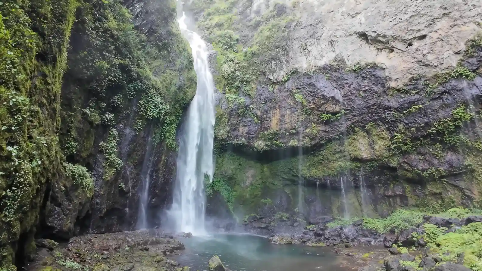 Tall waterfall flowing into a rainforest pool surrounded by dense vegetation in Fiji