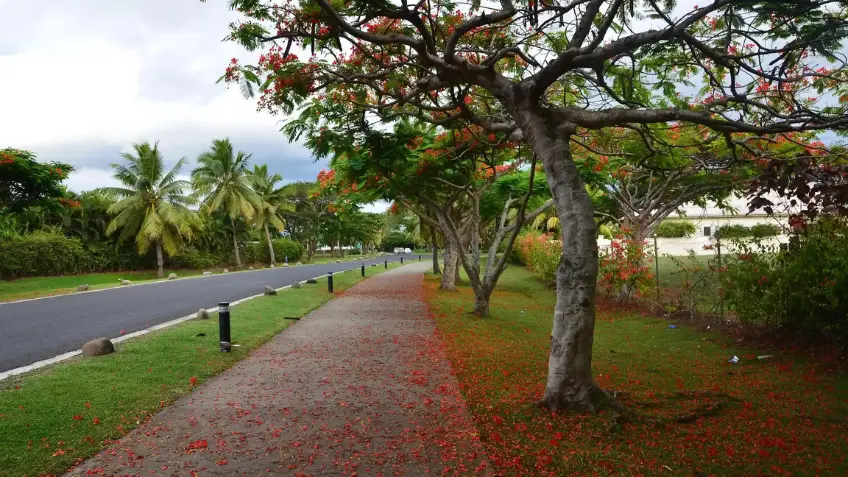 Sustainable travel in Fiji