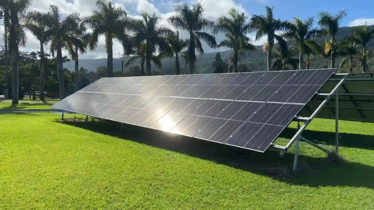 Solar panel installation framed by tropical palm trees in Fiji, a key part of the country's renewable energy strategy