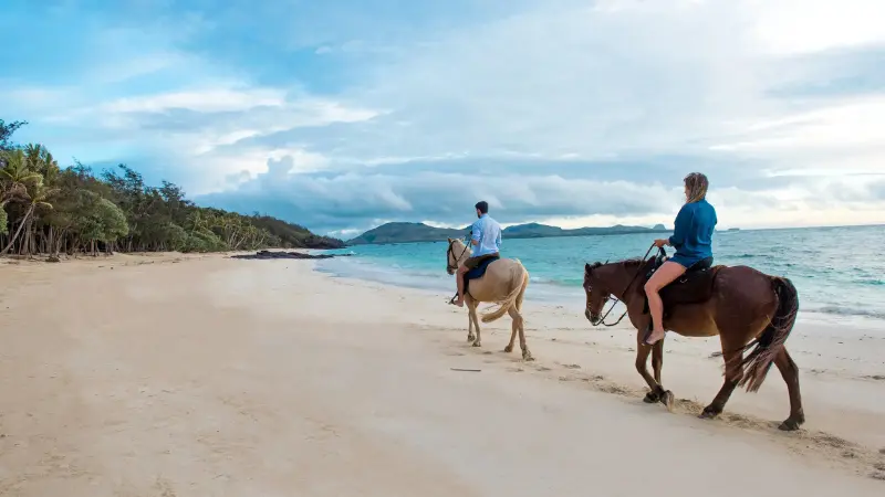 Horseback Riding along the Beach image