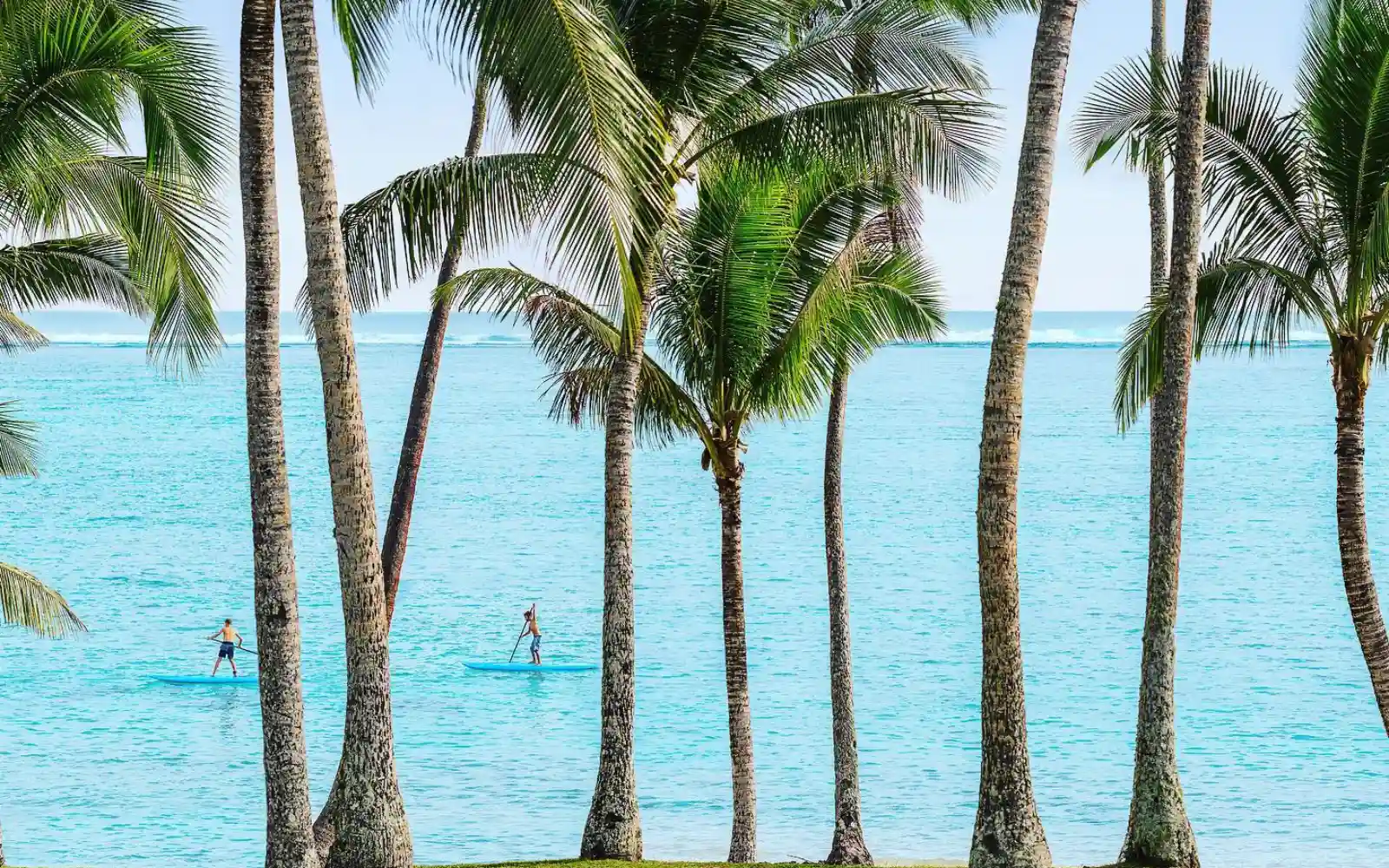 Sunset Paddleboarding at Wailoaloa Beach image