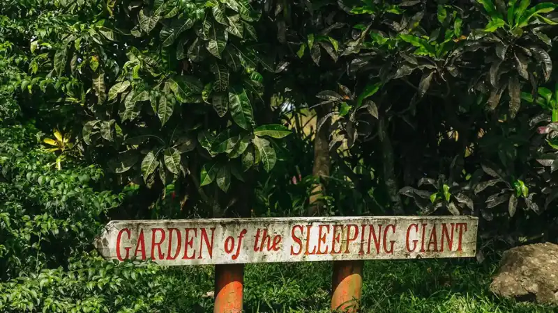 Wander the Orchid Trails at the Garden of the Sleeping Giant image
