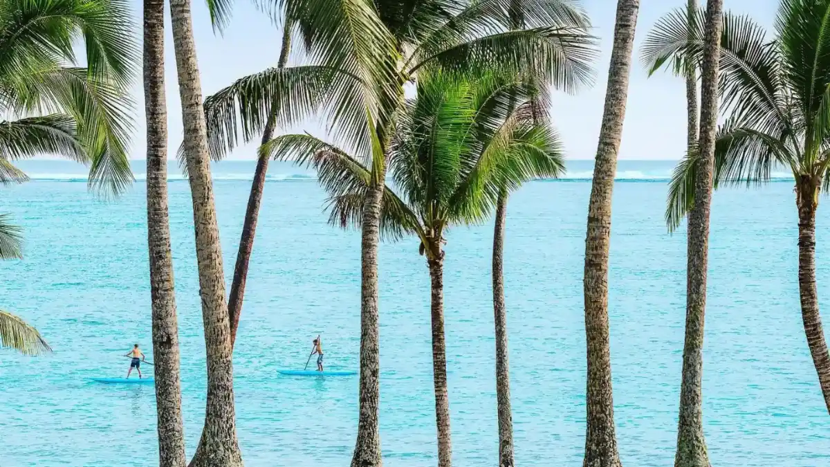 Paddleboarder on Nadi Bay at sunset near Wailoaloa Beach, Fiji