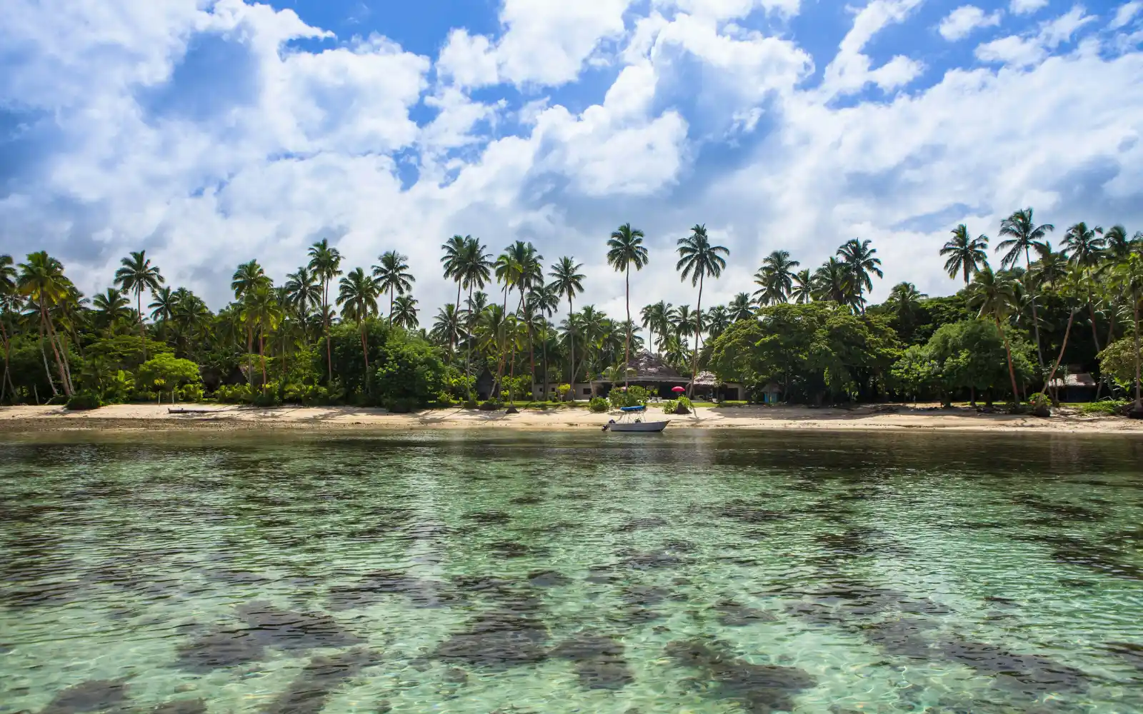 Take a Scenic Drive along Coral Coast image