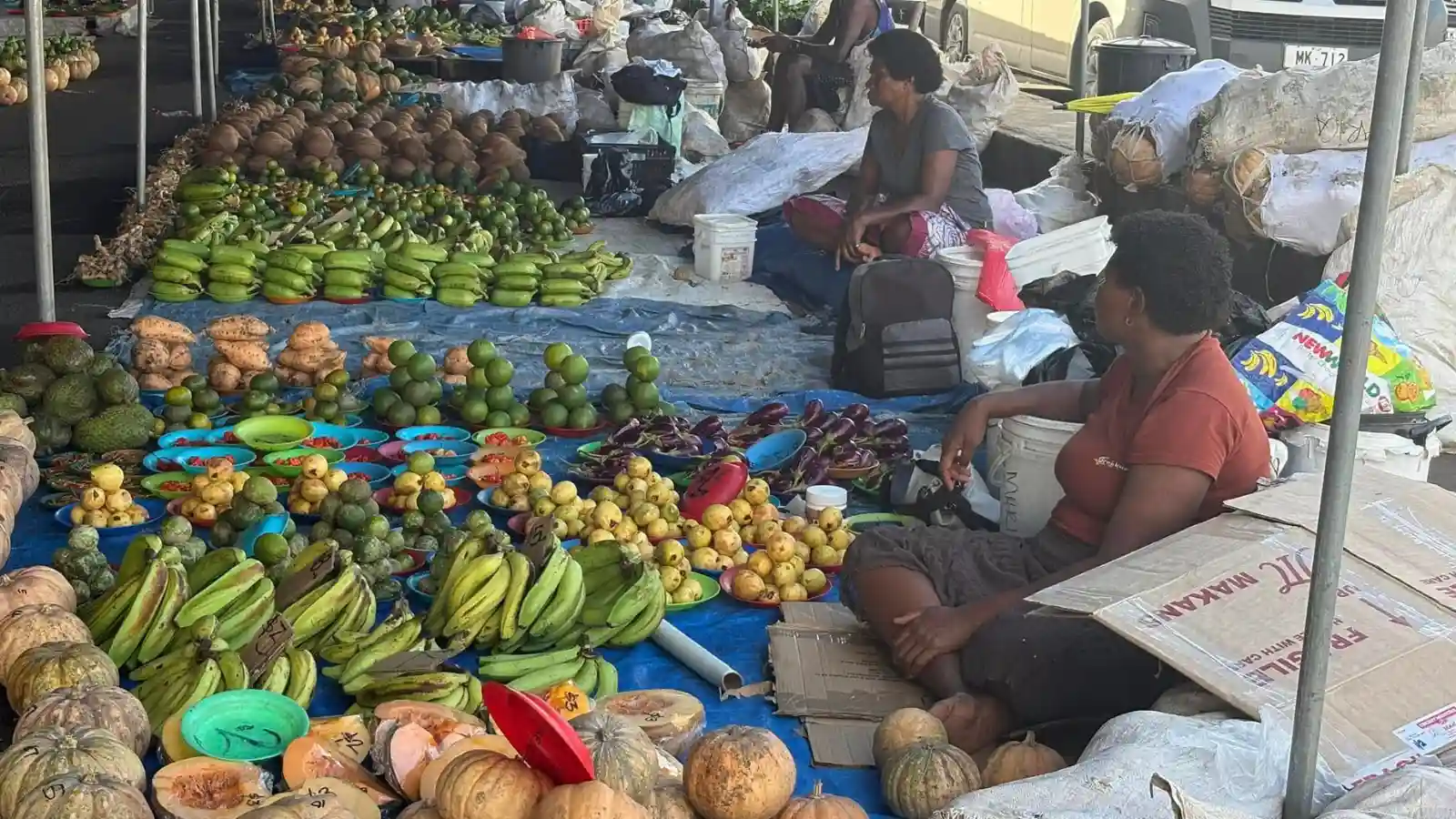 Vendor selling fresh pineapples, papayas, mangoes and tropical fruits at Suva Municipal Market