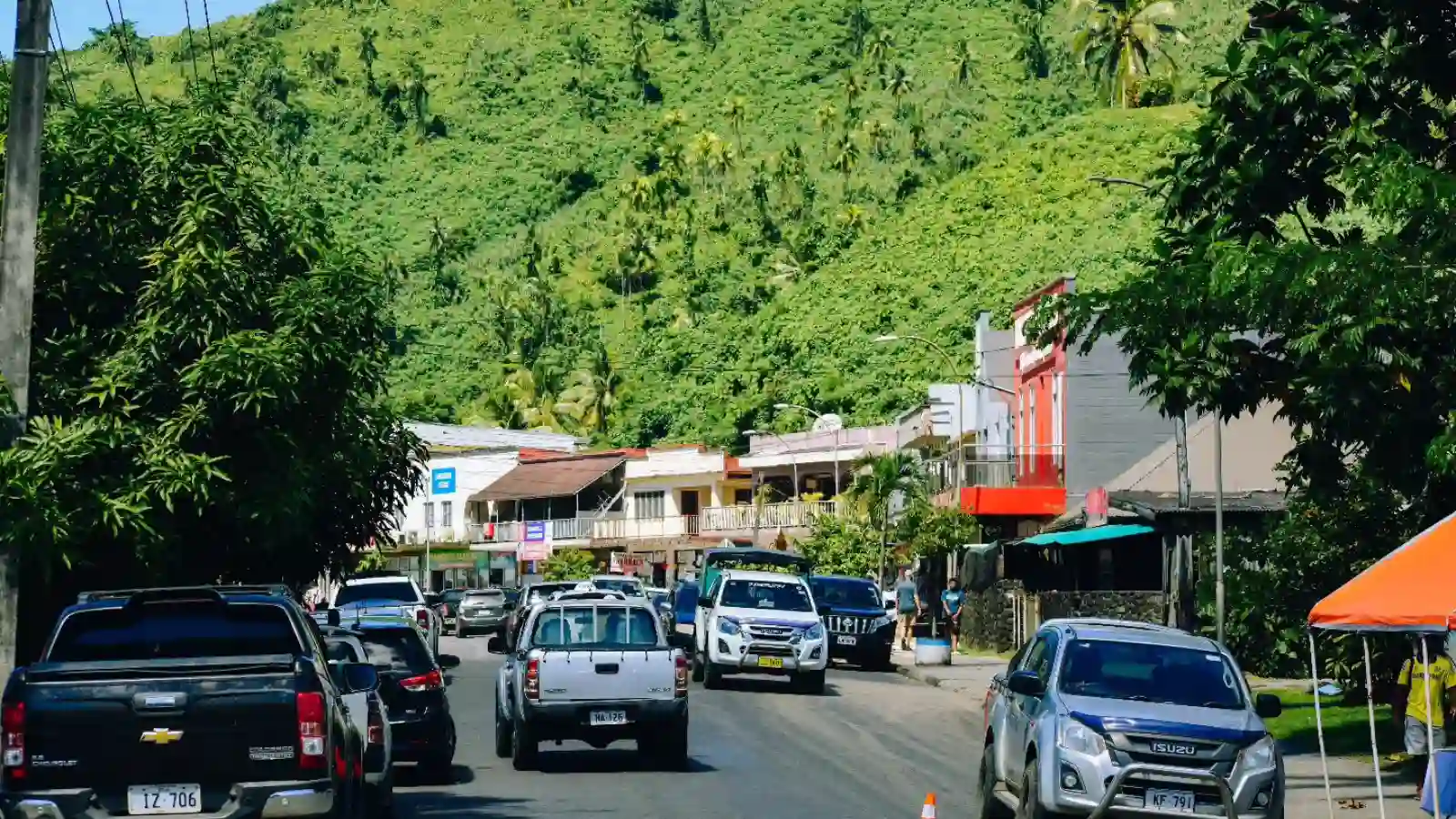 Traditional Fijian medicinal plants growing in a tropical rainforest near Savusavu, Fiji