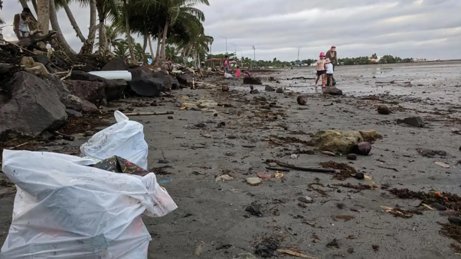 Local volunteers removing plastic waste during a community beach cleanup in Savusavu, Fiji