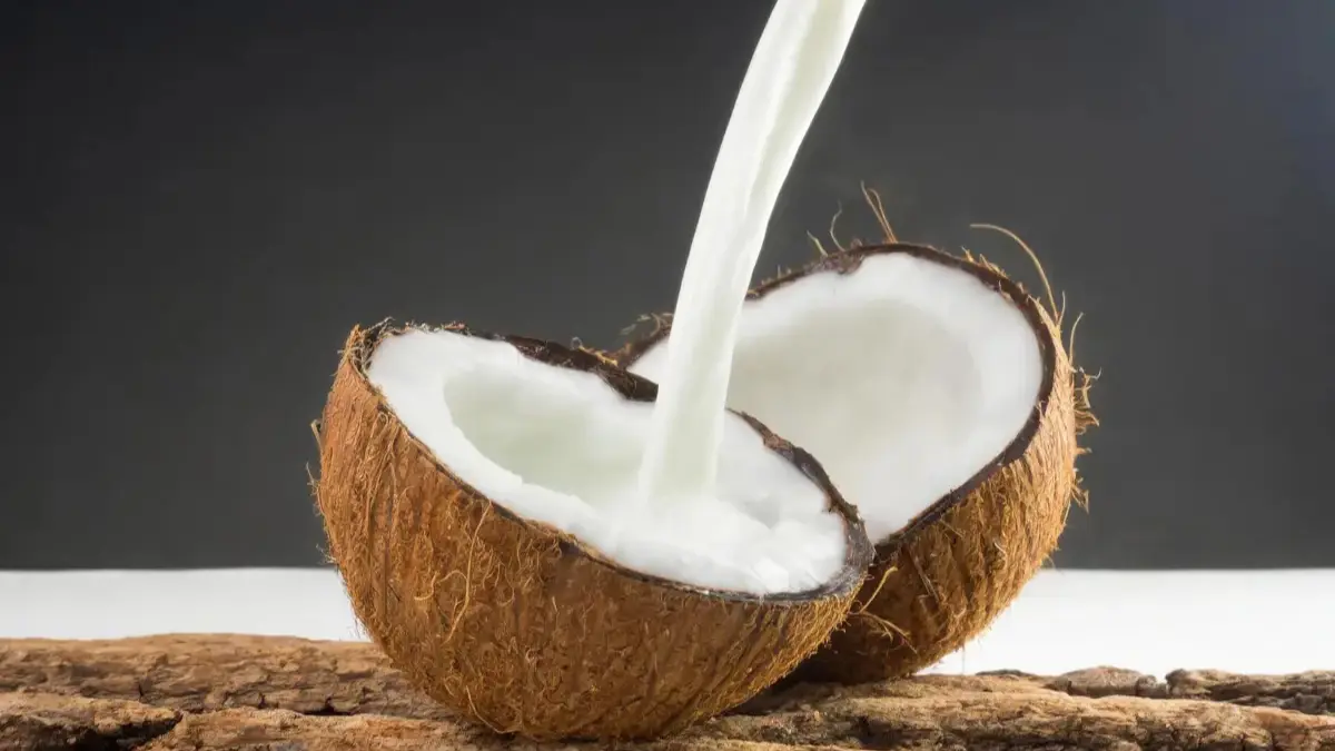 Opaque coconut milk or cream being poured into a halved coconut shell