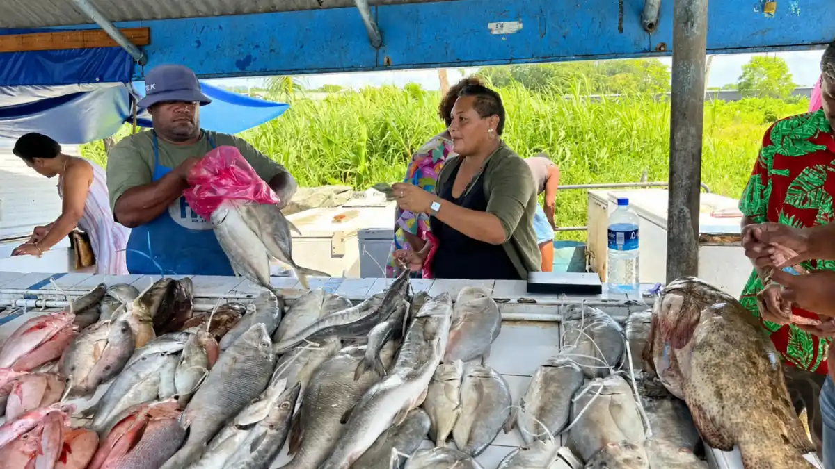 Whole fish displayed for sale at Savusavu Municipal Market in Fiji