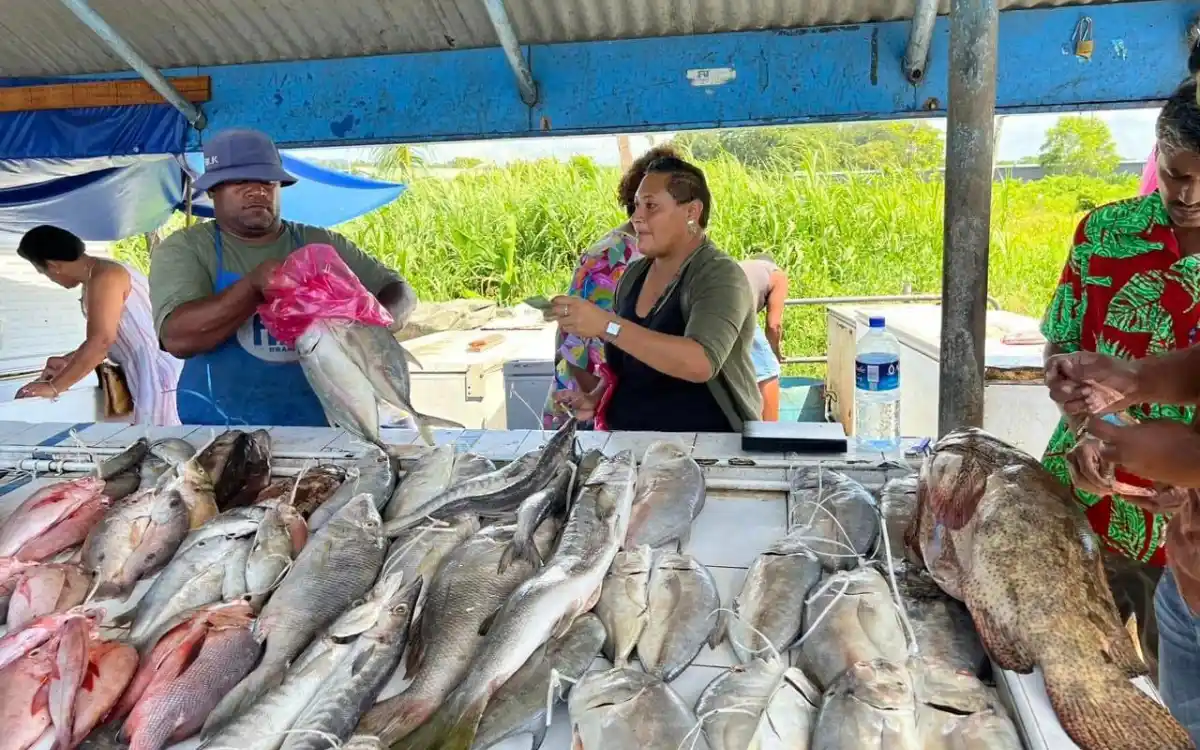 Fresh fish displayed on ice at Savusavu Municipal Market with local vendors