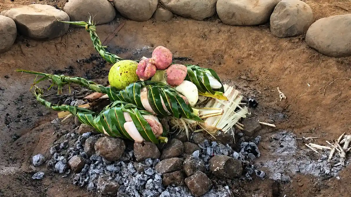 Food wrapped in leaves being prepared over heated stones in a Fijian lovo earth oven