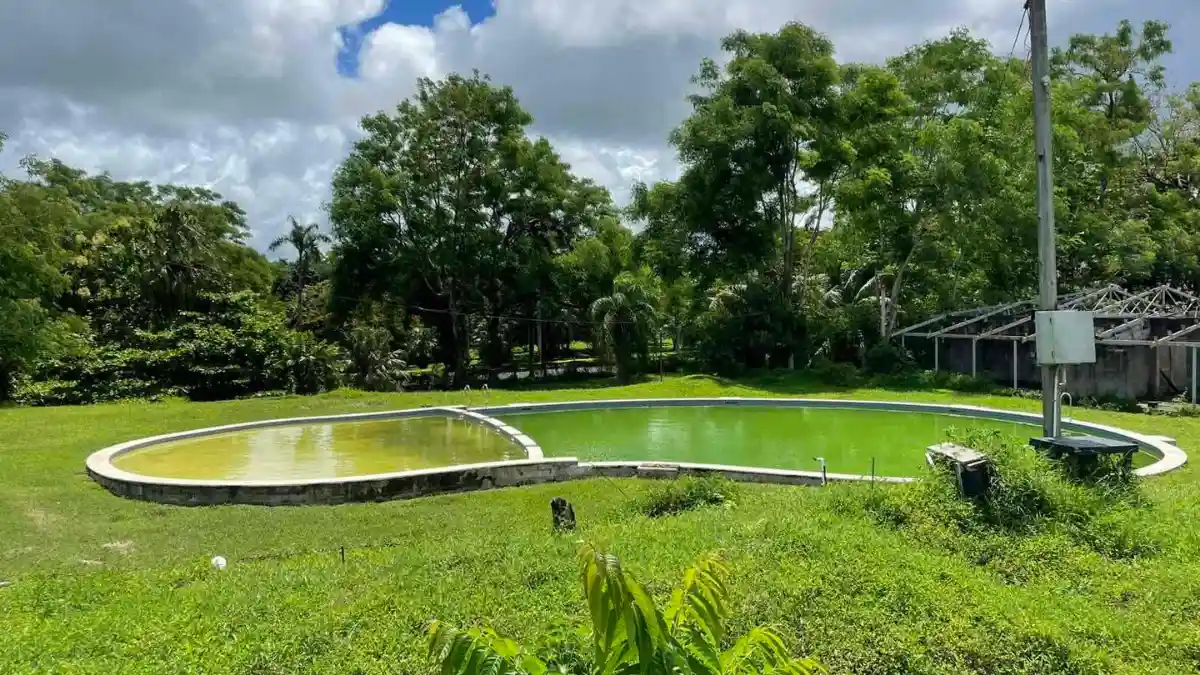 Shirley Park lawn beside Marine Drive and the Lautoka waterfront on a sunny day