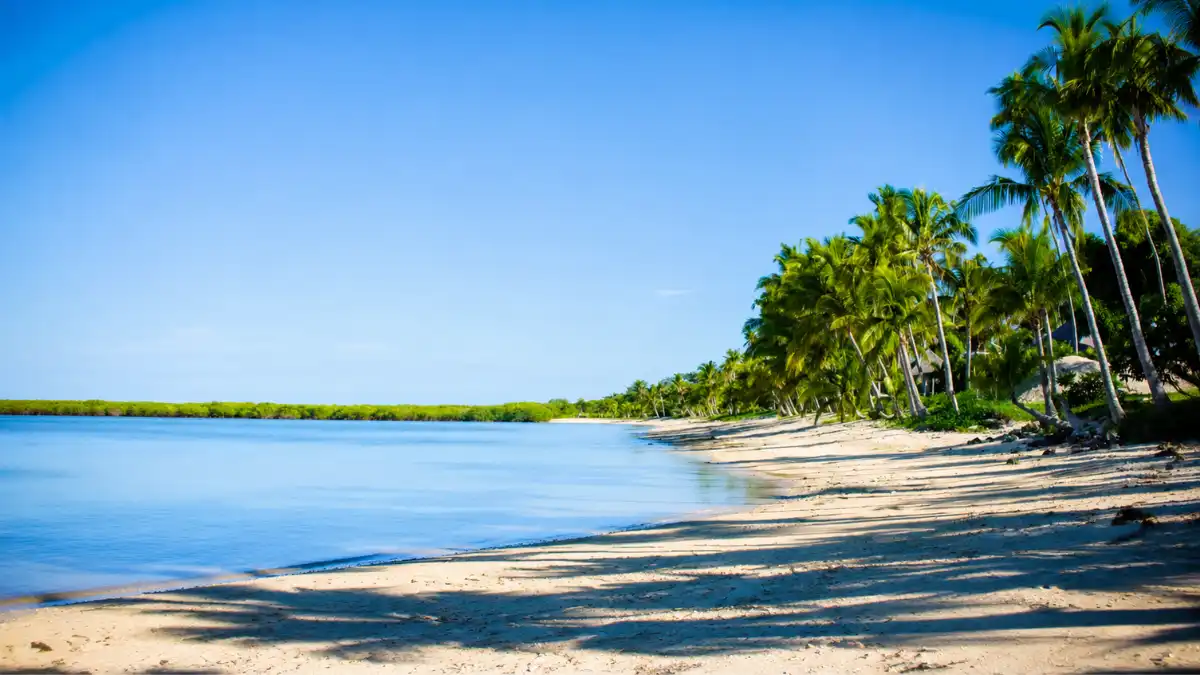 Palm-lined tropical coastline with calm water, illustrating warm coastal weather near Lautoka, Fiji