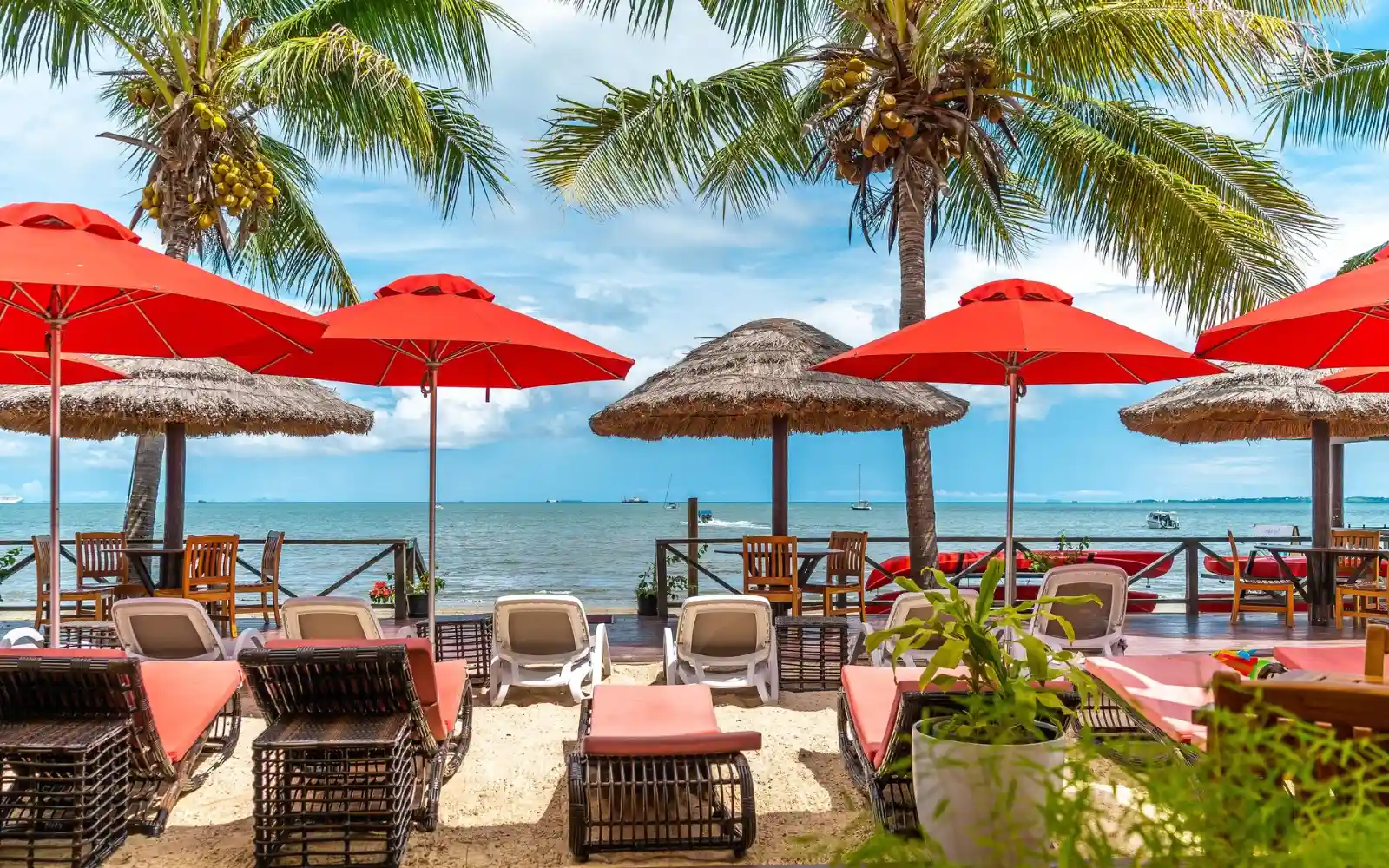 Sunny day with palm trees near Wailoaloa Beach, Nadi