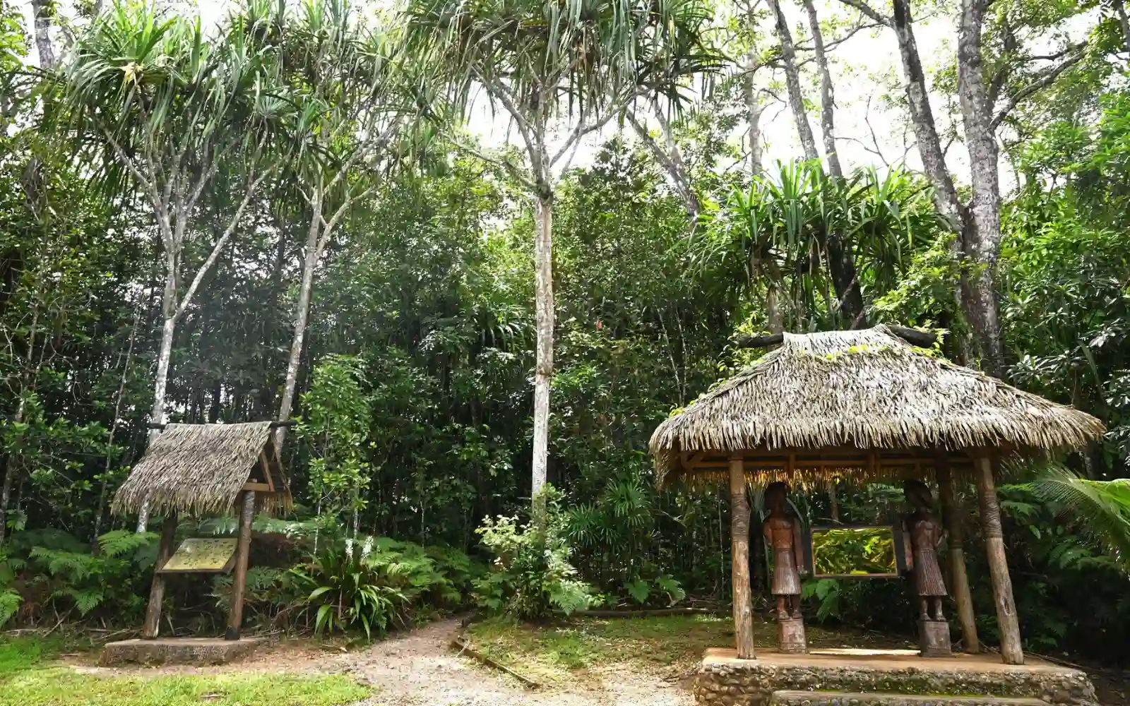 Bright, sunny tropical landscape of Suva with lush greenery and blue skies, reflecting typical weather