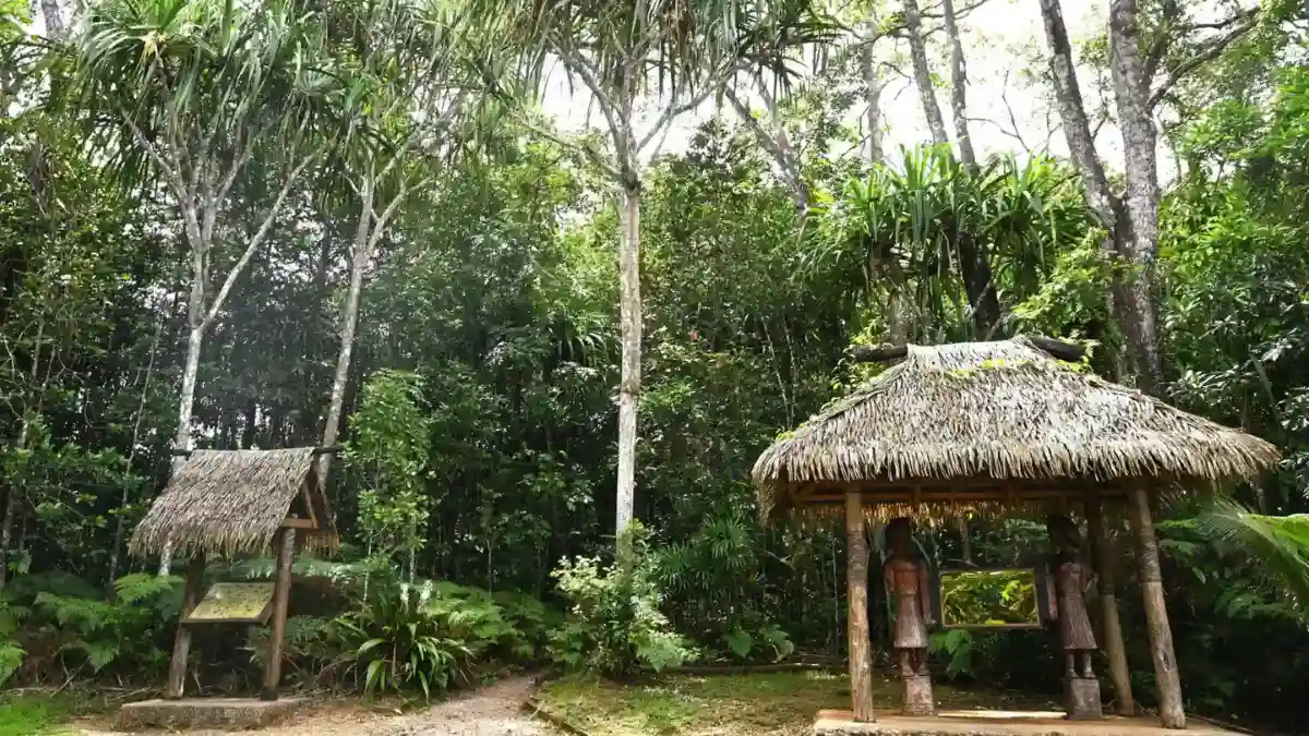 Lush tropical vegetation surrounding traditional thatched shelters in Fiji