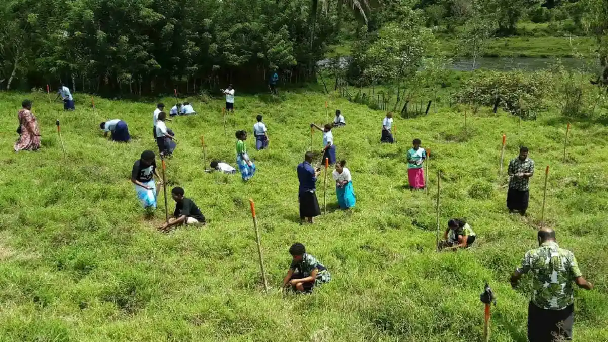 People planting young trees outdoors