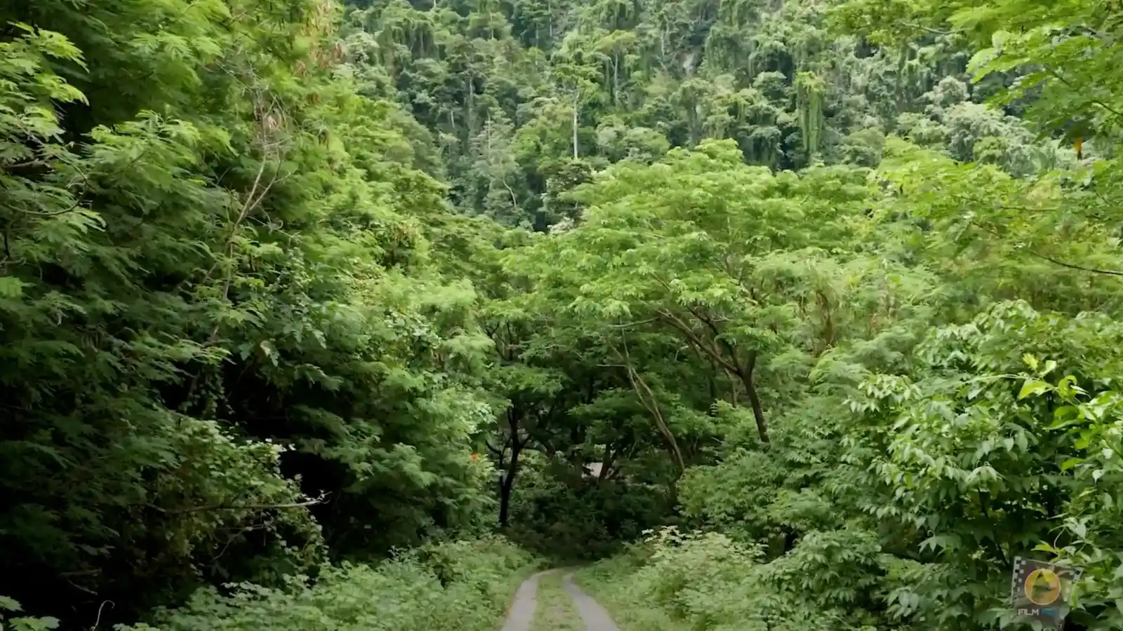 Sabeto Valley hiking trail through lush tropical rainforest near Nadi with mountain views and traditional Fijian villages