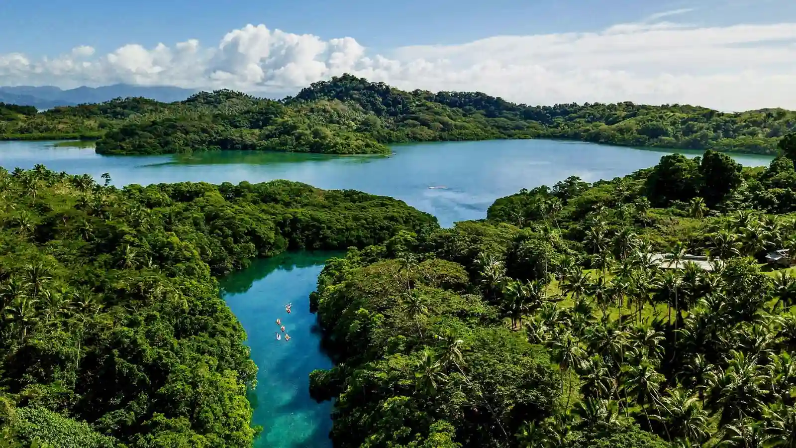 Misty rainforest trail in Savusavu highlands surrounded by native vegetation and moss-covered trees