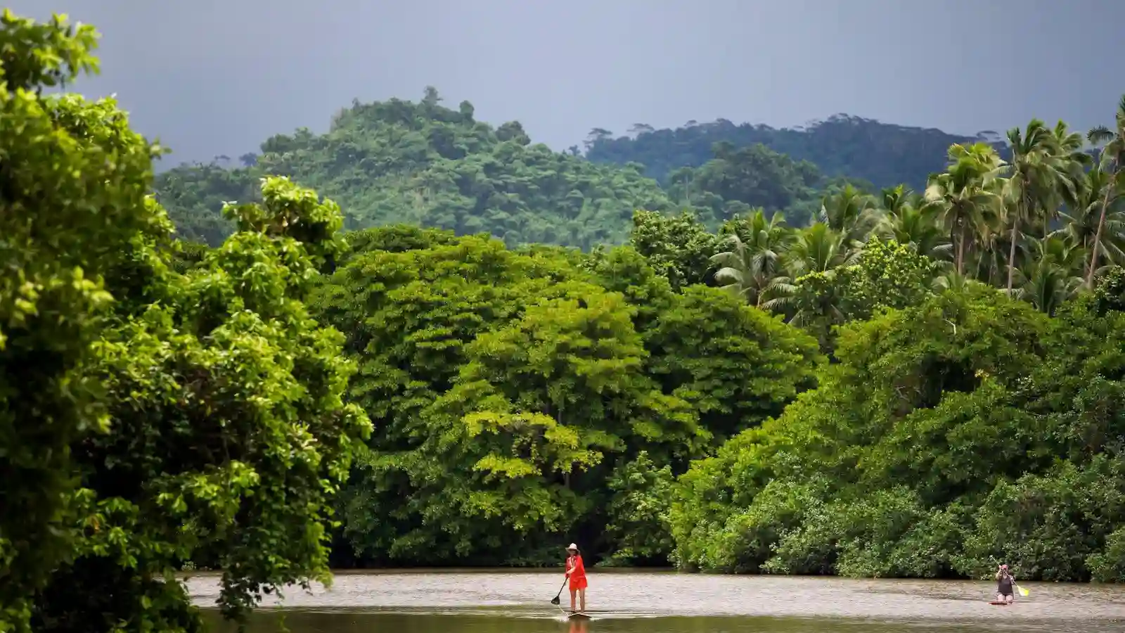 Rainforest hills and tropical waters in Savusavu showing wildlife habitats on Vanua Levu