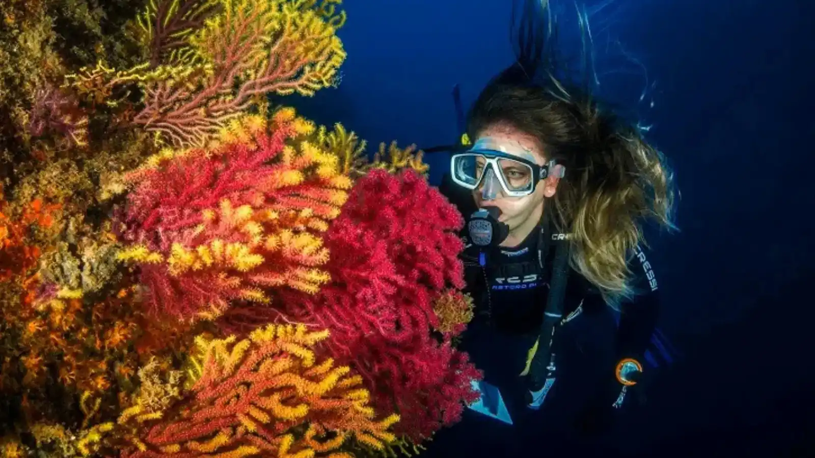 Snorkeler exploring colorful coral reef near Sigatoka Coral Coast Fiji