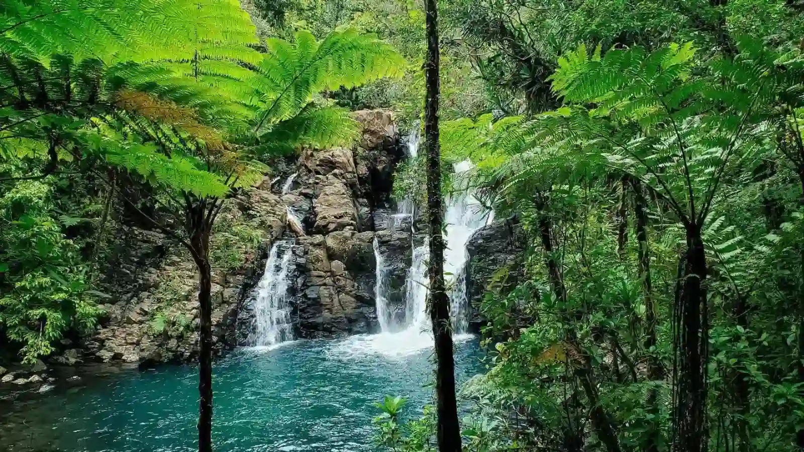 Clear natural swimming pool beneath small waterfall surrounded by lush rainforest in Colo-i-Suva Forest Park Fiji