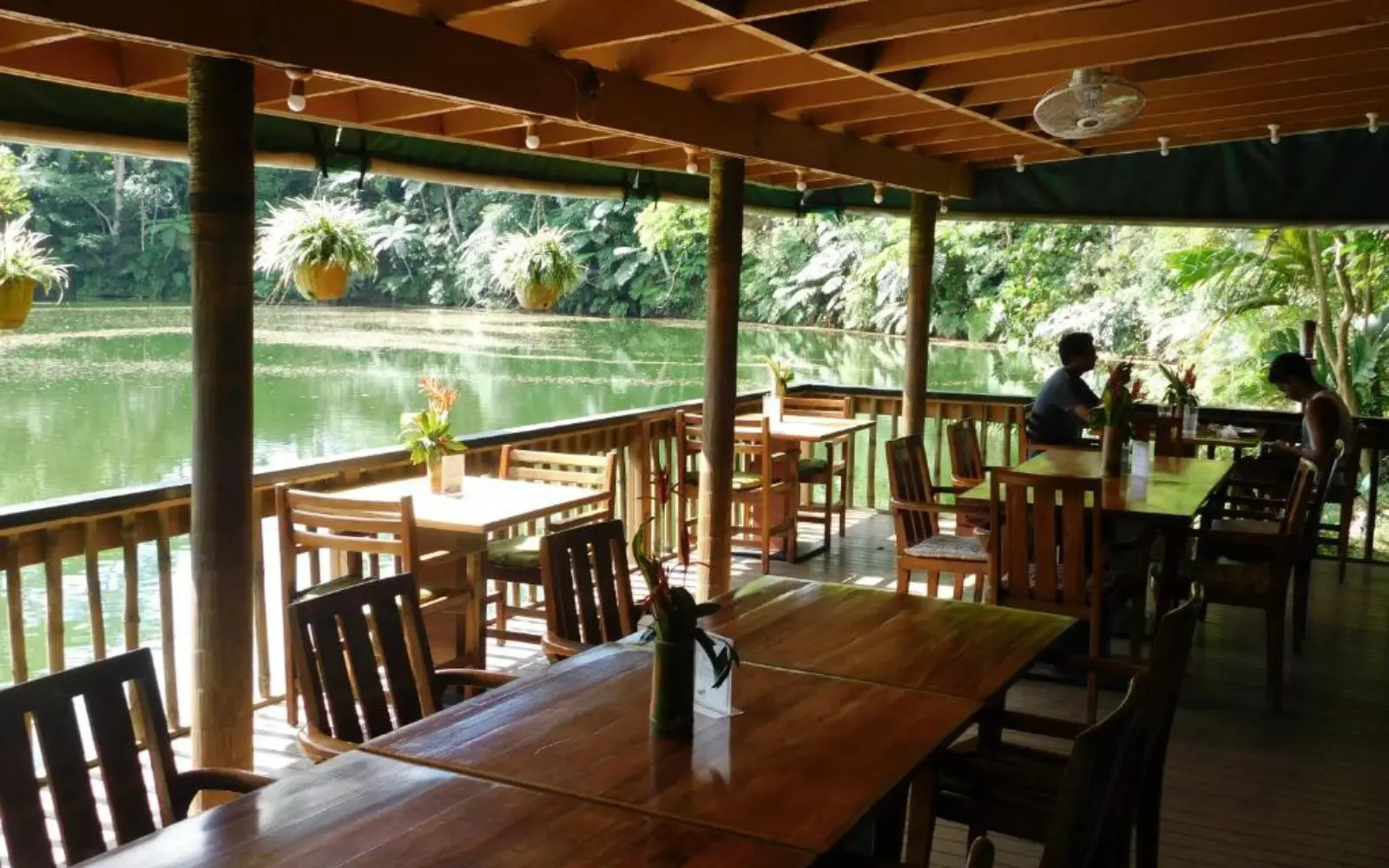 Eco-friendly cabin nestled within lush green rainforest at Colo-i-Suva Rainforest Eco Resort, surrounded by trees.