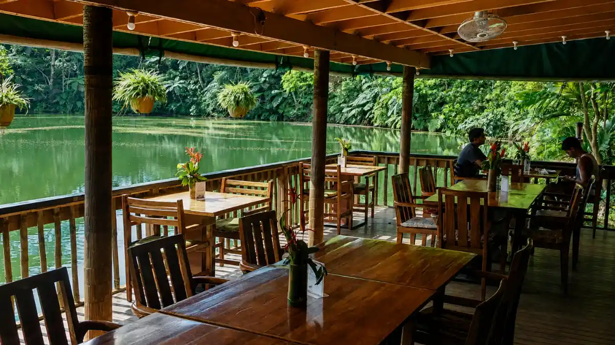 Colo-i-Suva Rainforest Eco Resort lodge surrounded by tropical rainforest, green plants, and peaceful nature near Suva.