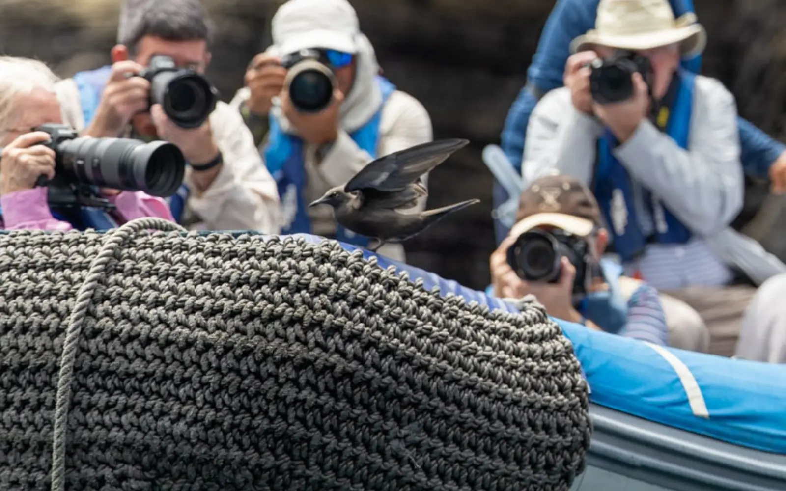 Photographers capturing the scene