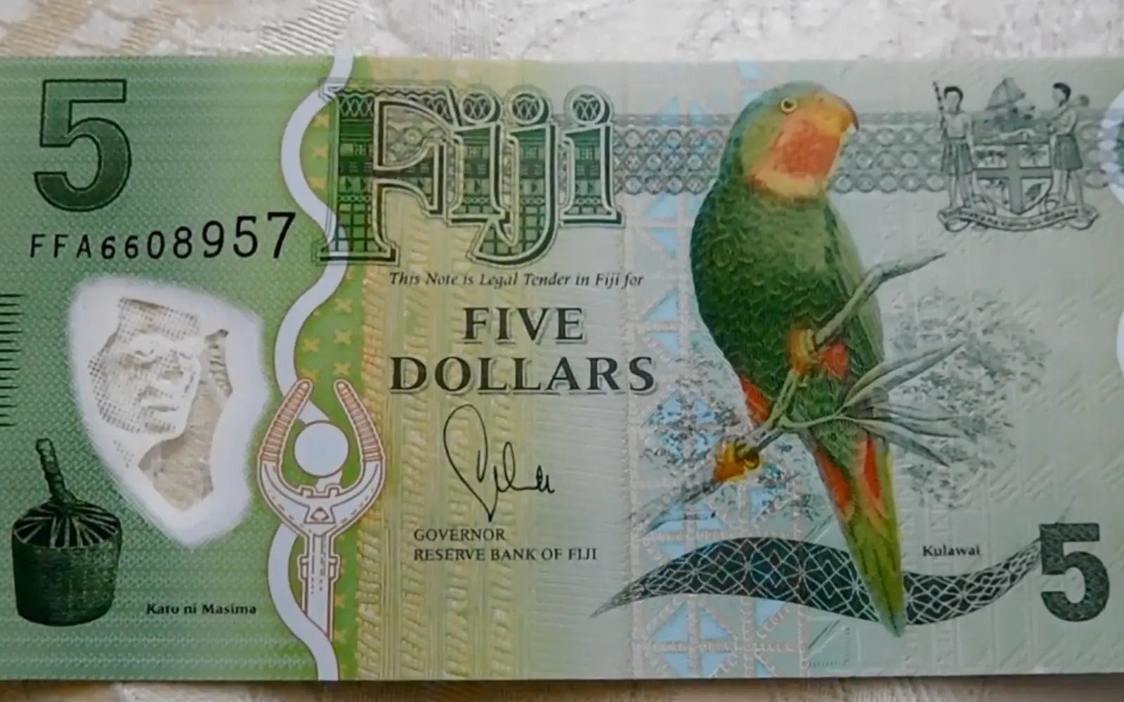 Traveler displaying colorful Fijian banknotes in a rural Sigatoka setting