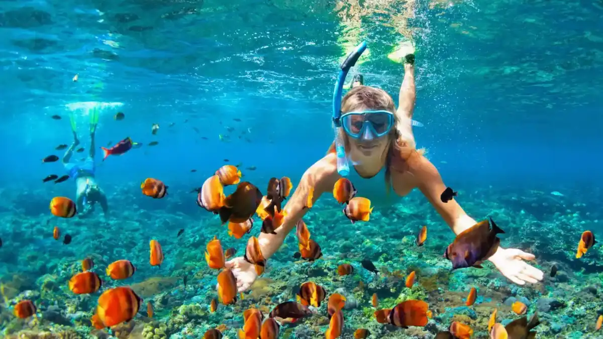 Sea turtle swimming above a coral reef in clear blue water