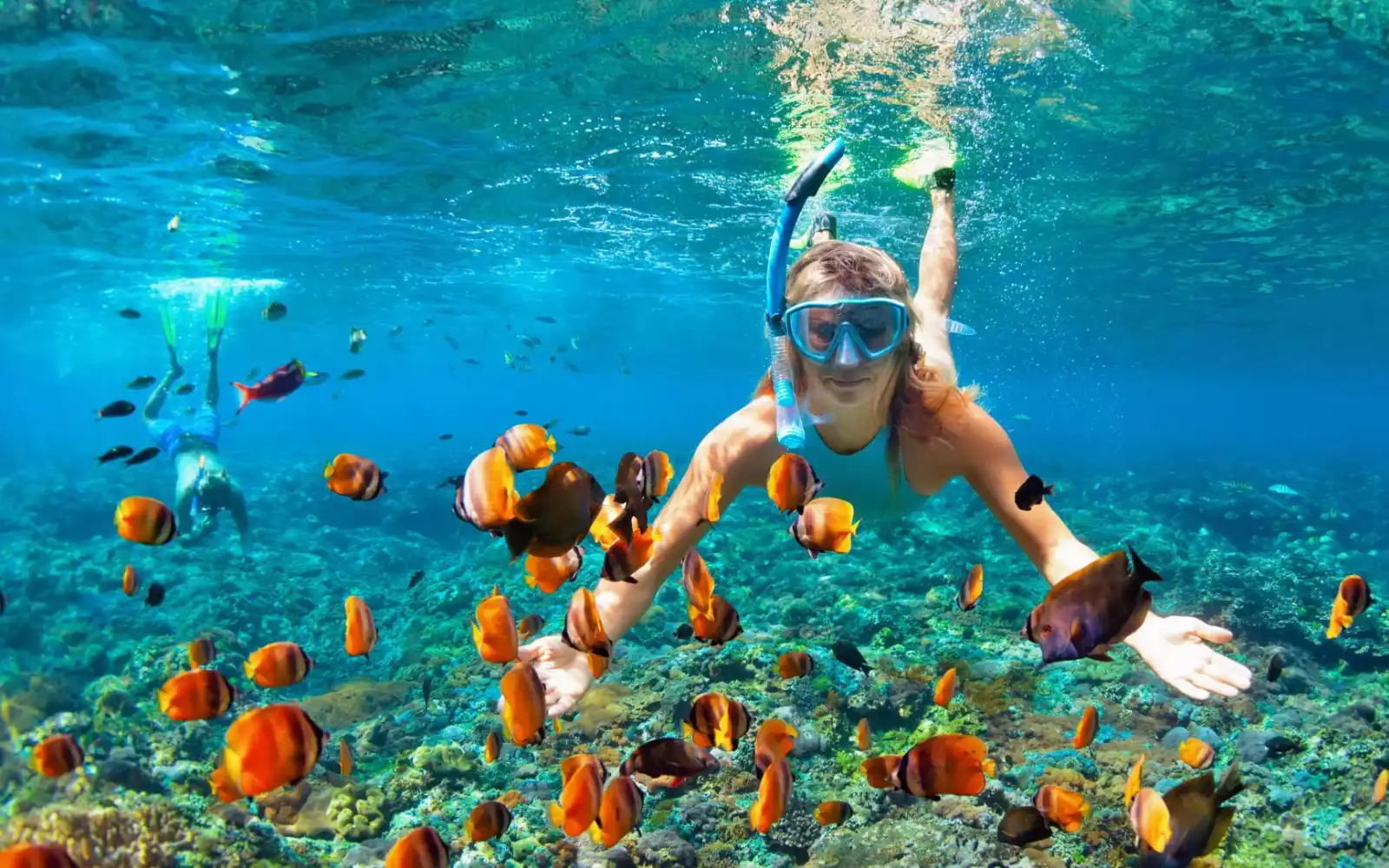 Snorkeler floating above a vibrant coral reef in Sigatoka with colorful fish swimming