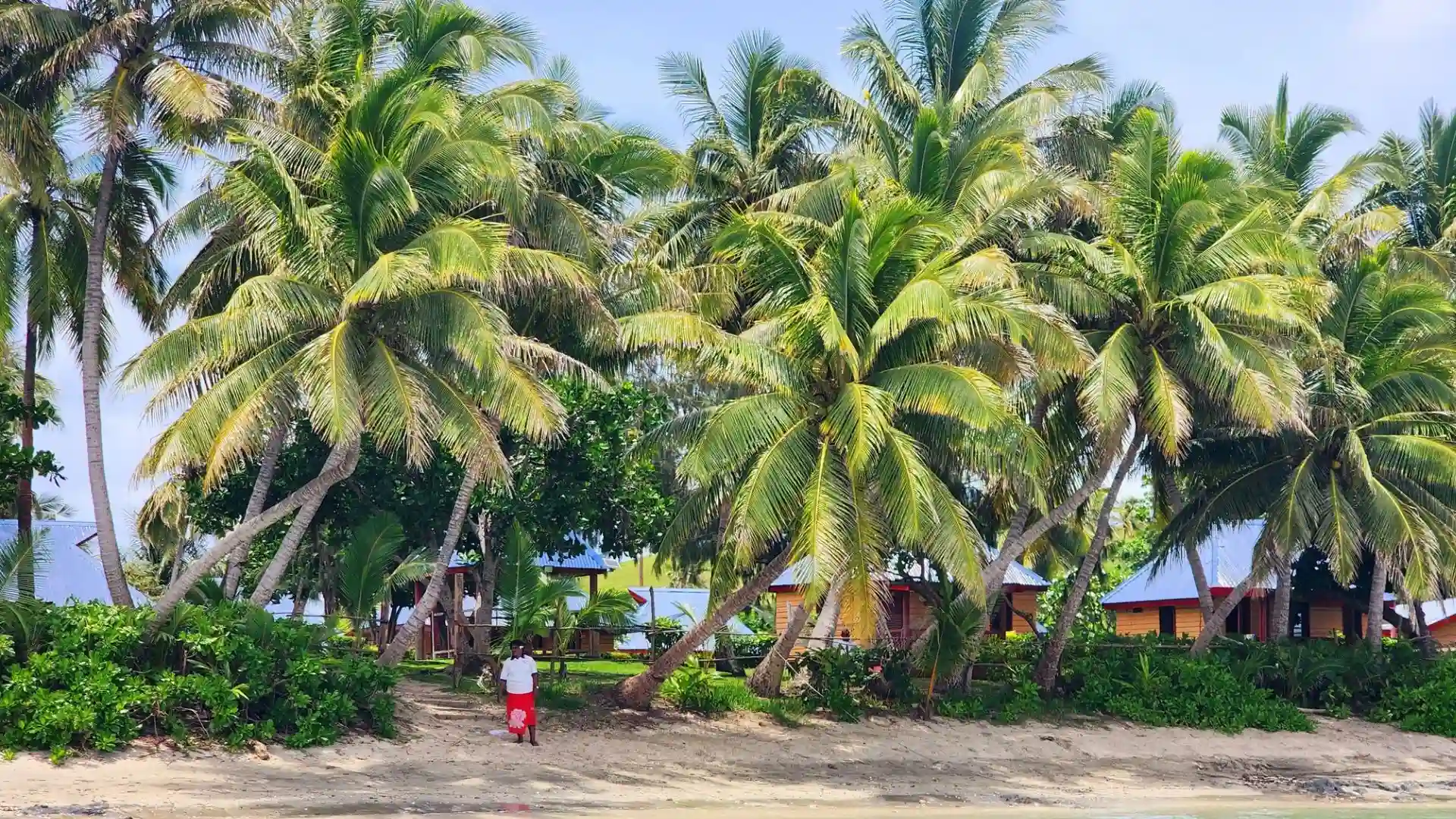 Aerial view of the pristine Nacula Bay showing its perfect horseshoe shape and crystal clear waters