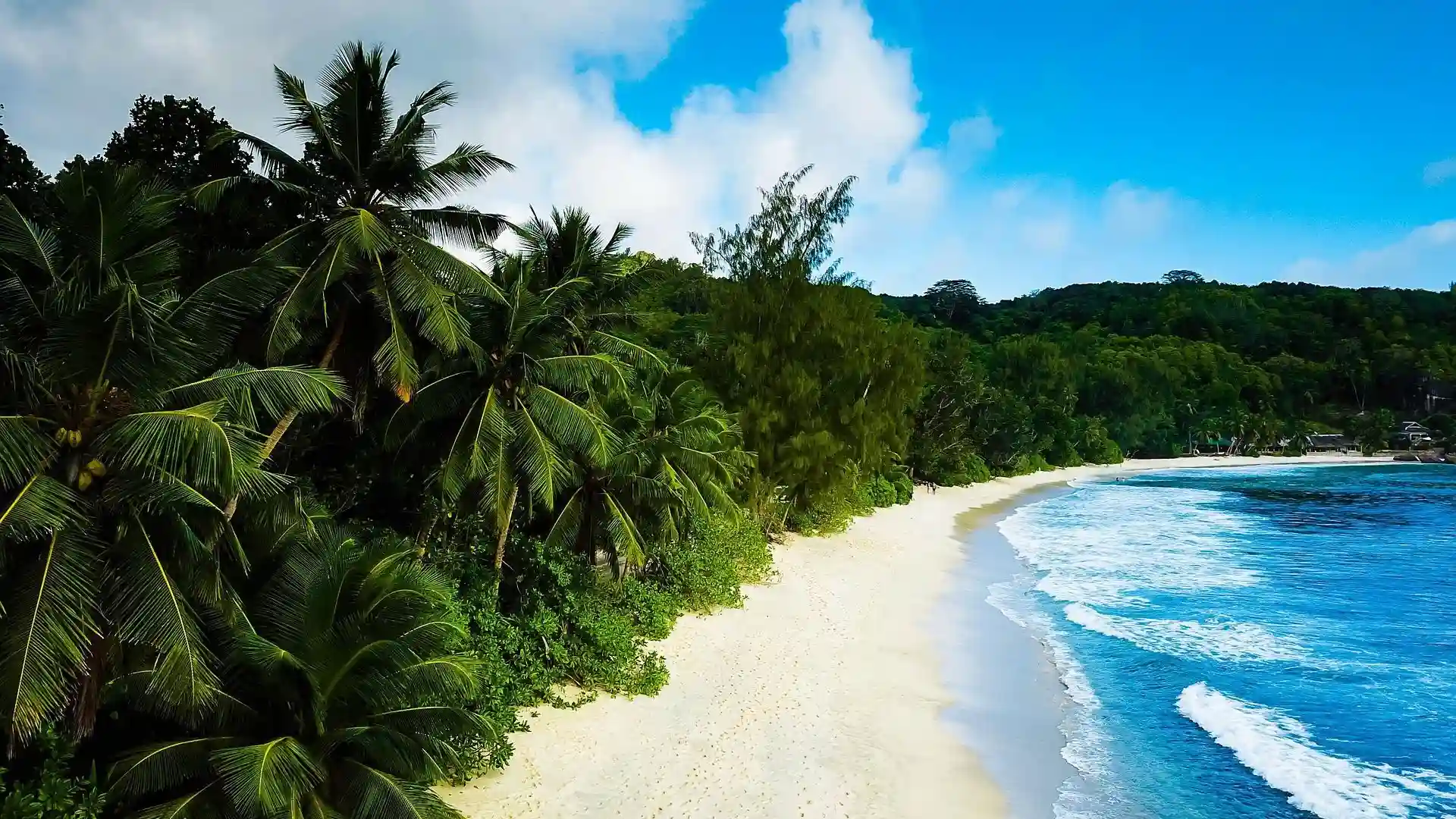 Aerial view of Vunanui Bay showing its perfect crescent beach bordered by lush rainforest and fringing reef