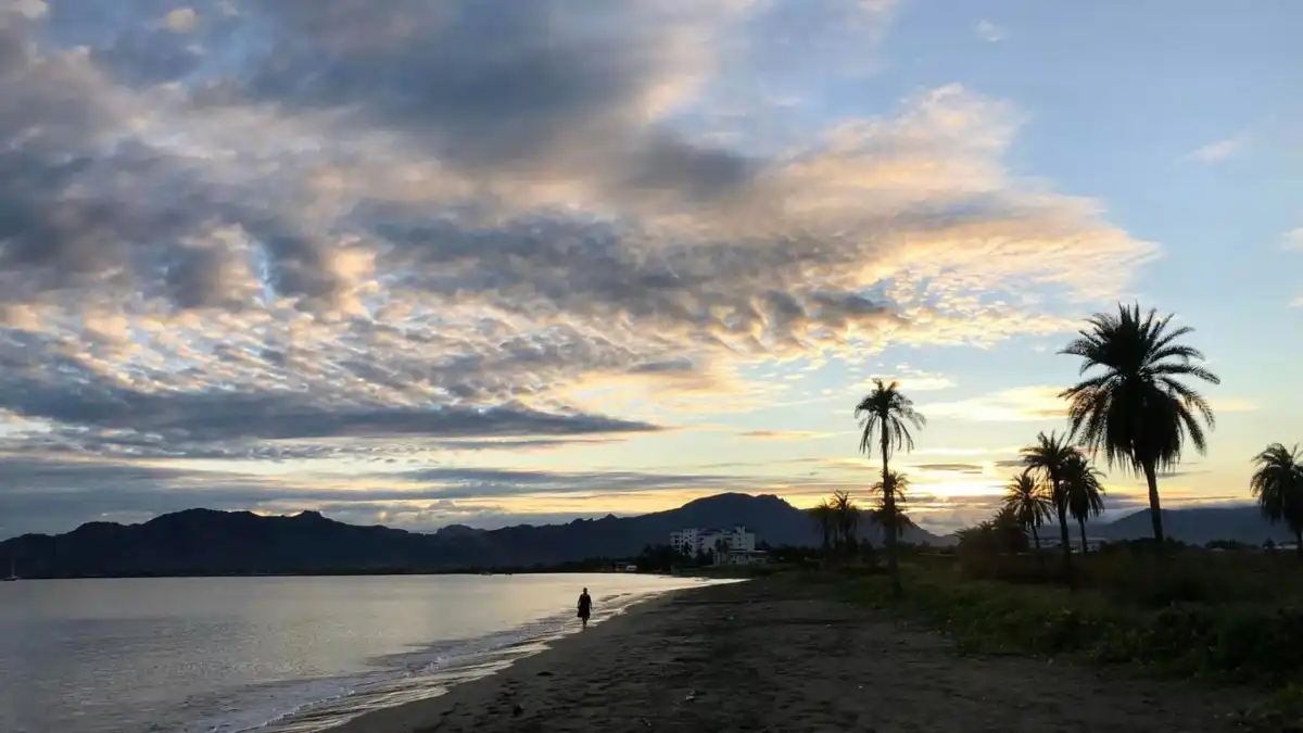 A person walking along a dark sandy shoreline beneath an evening sky, with palms and distant hills