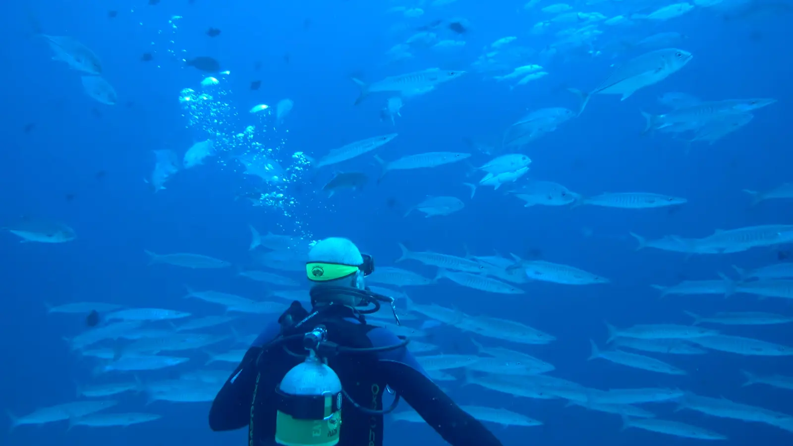 Namena Marine Reserve: Diving, Snorkeling and Prices - diving-snorkeling in Fiji