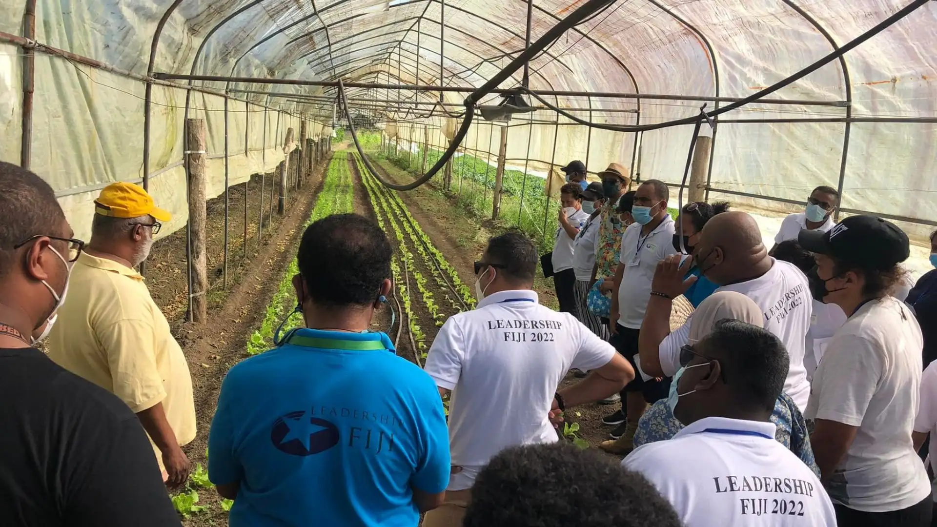 Organic Farm Tour - Sigatoka Valley - local-food-farms in Fiji