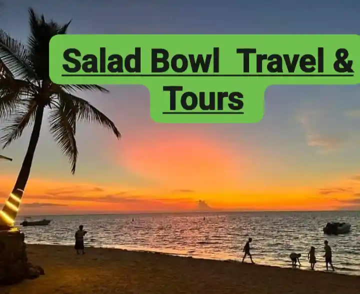 Salad Bowl Travel & Tours  1