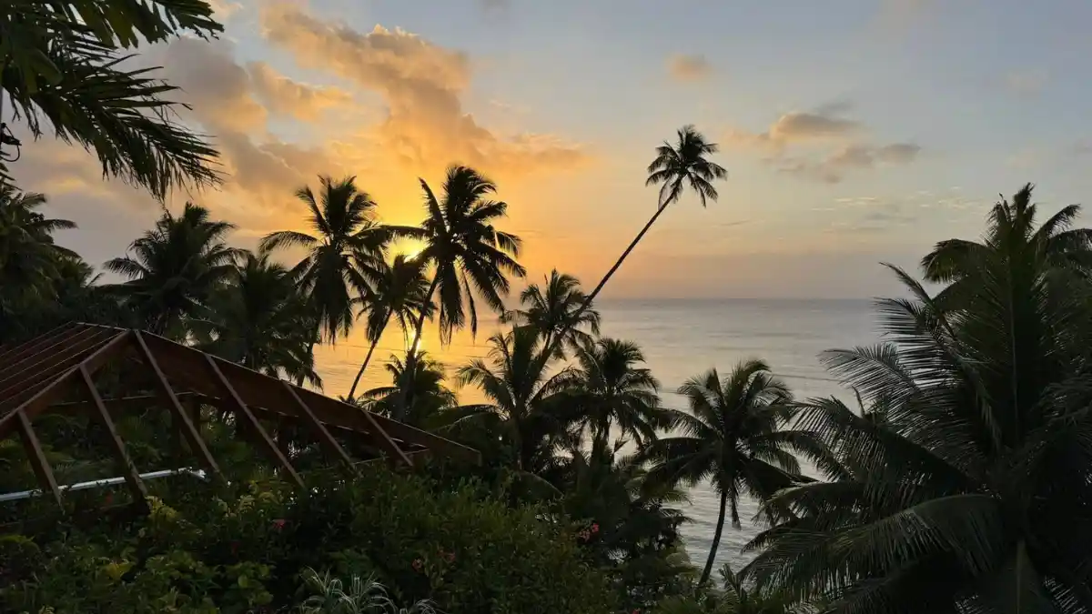 Taveuni Palms Resort  3