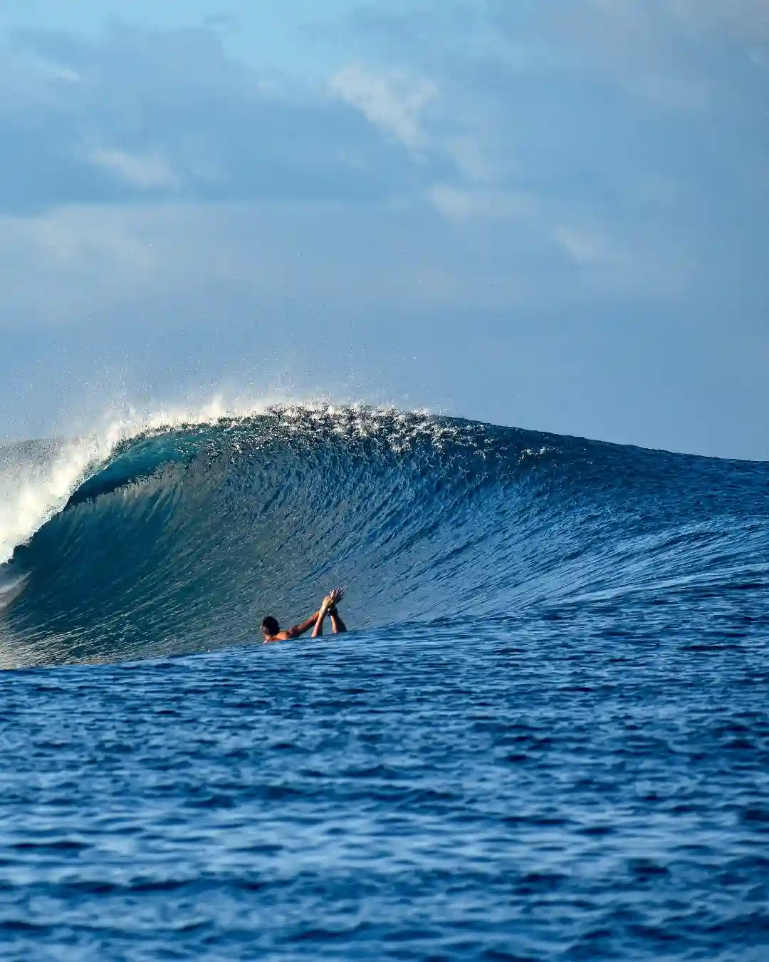 Matanivusi Beach Eco-Resort  4