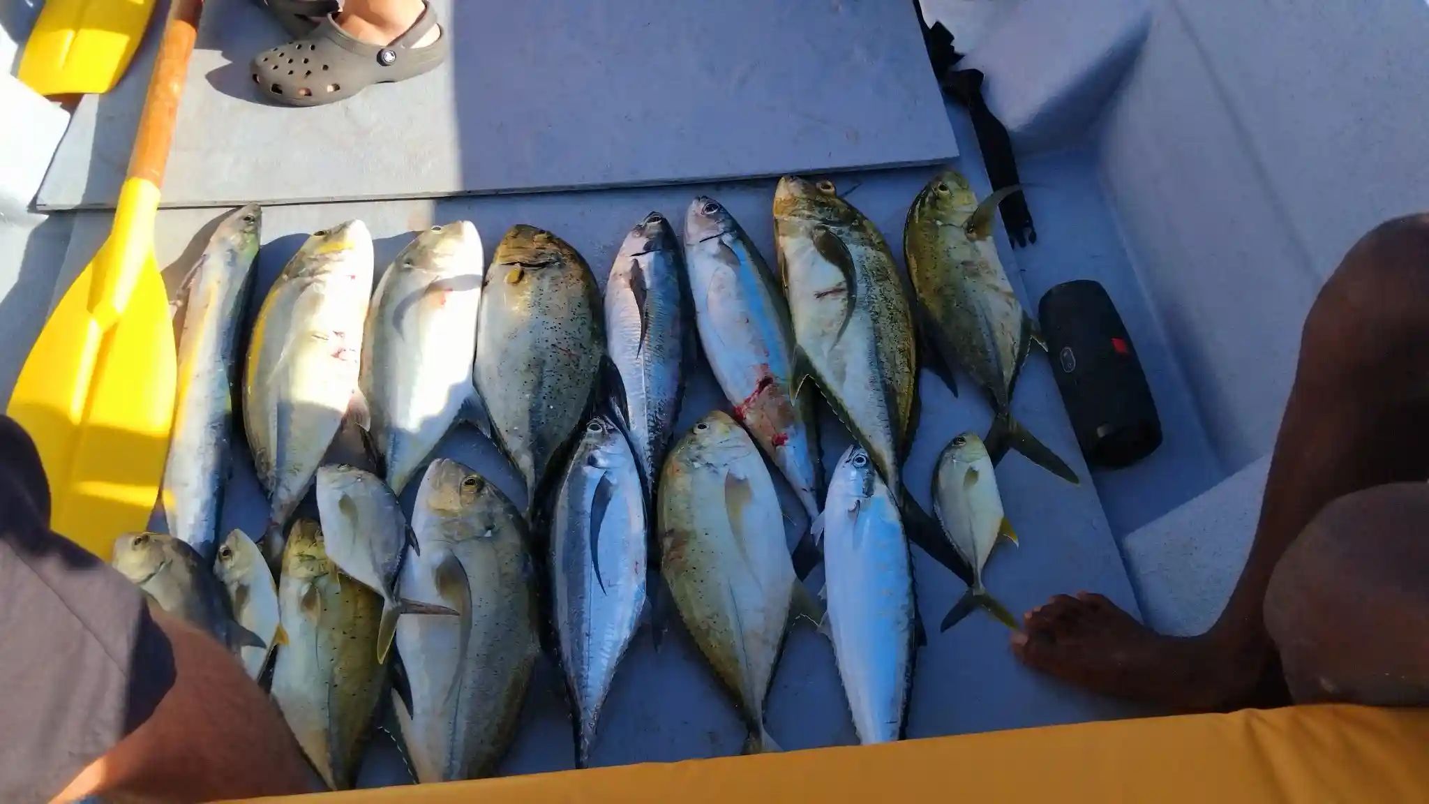 Blonde TOURS – Fishing Tours & Ocean Excursions in Suva, Fiji 4