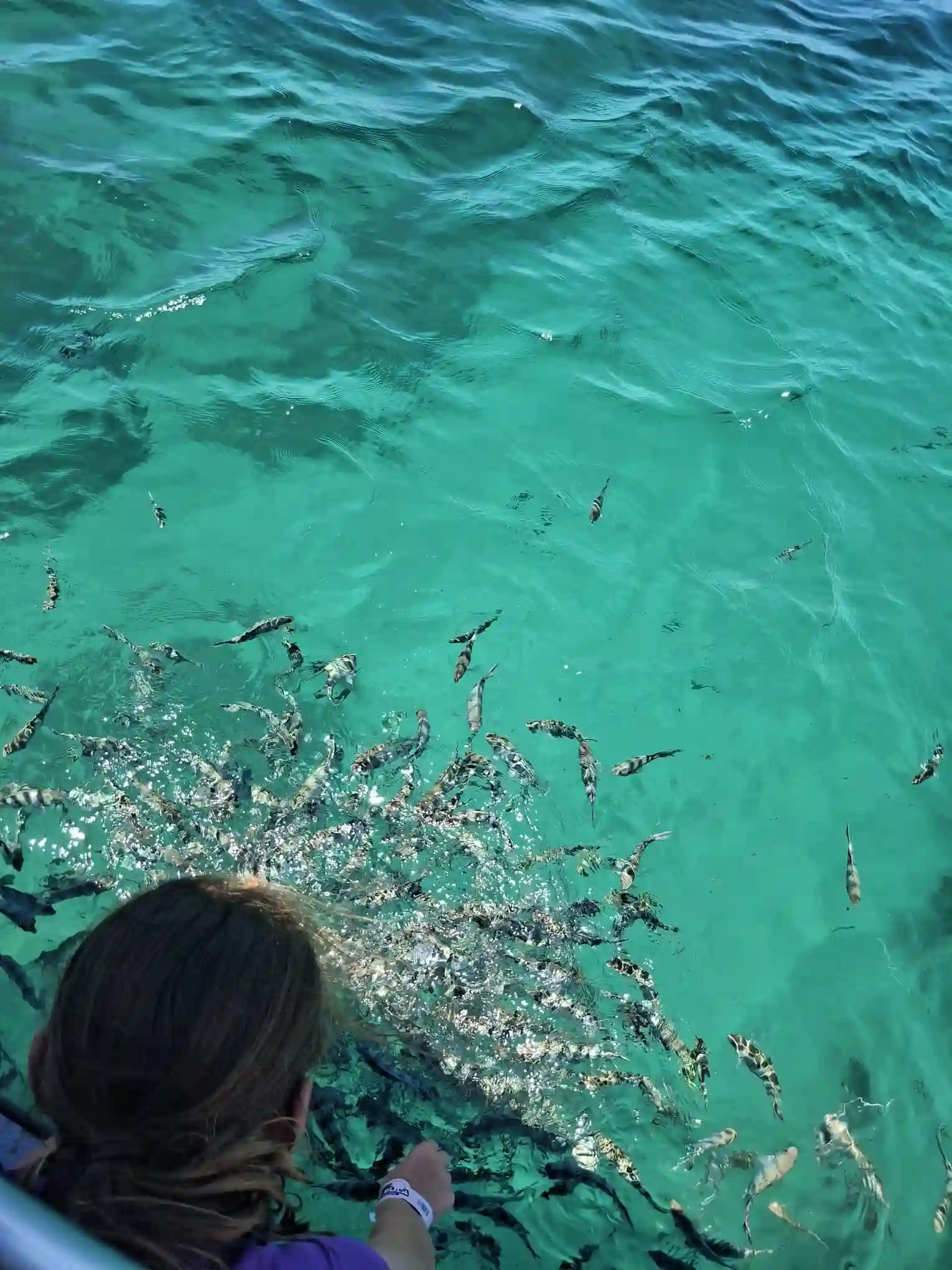 Blonde TOURS – Fishing Tours & Ocean Excursions in Suva, Fiji 5