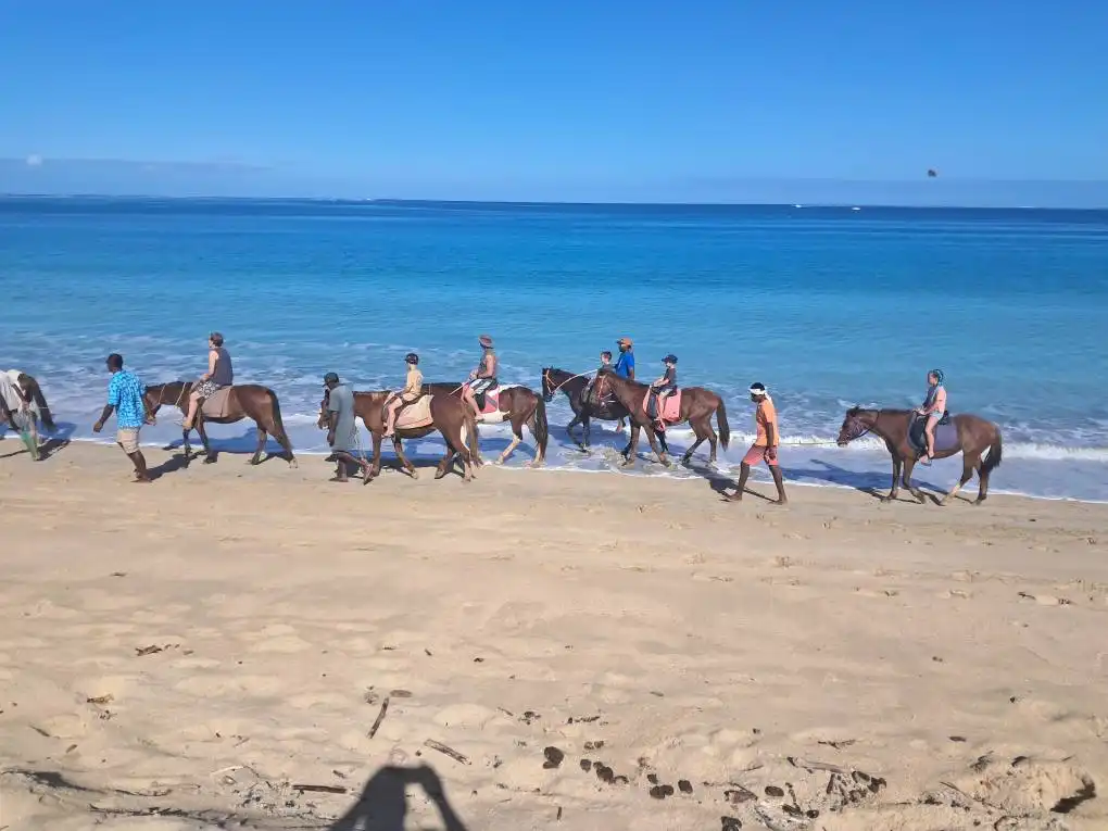 Togas Fiji Tours – Authentic Tours & Horse Riding in Fiji 1