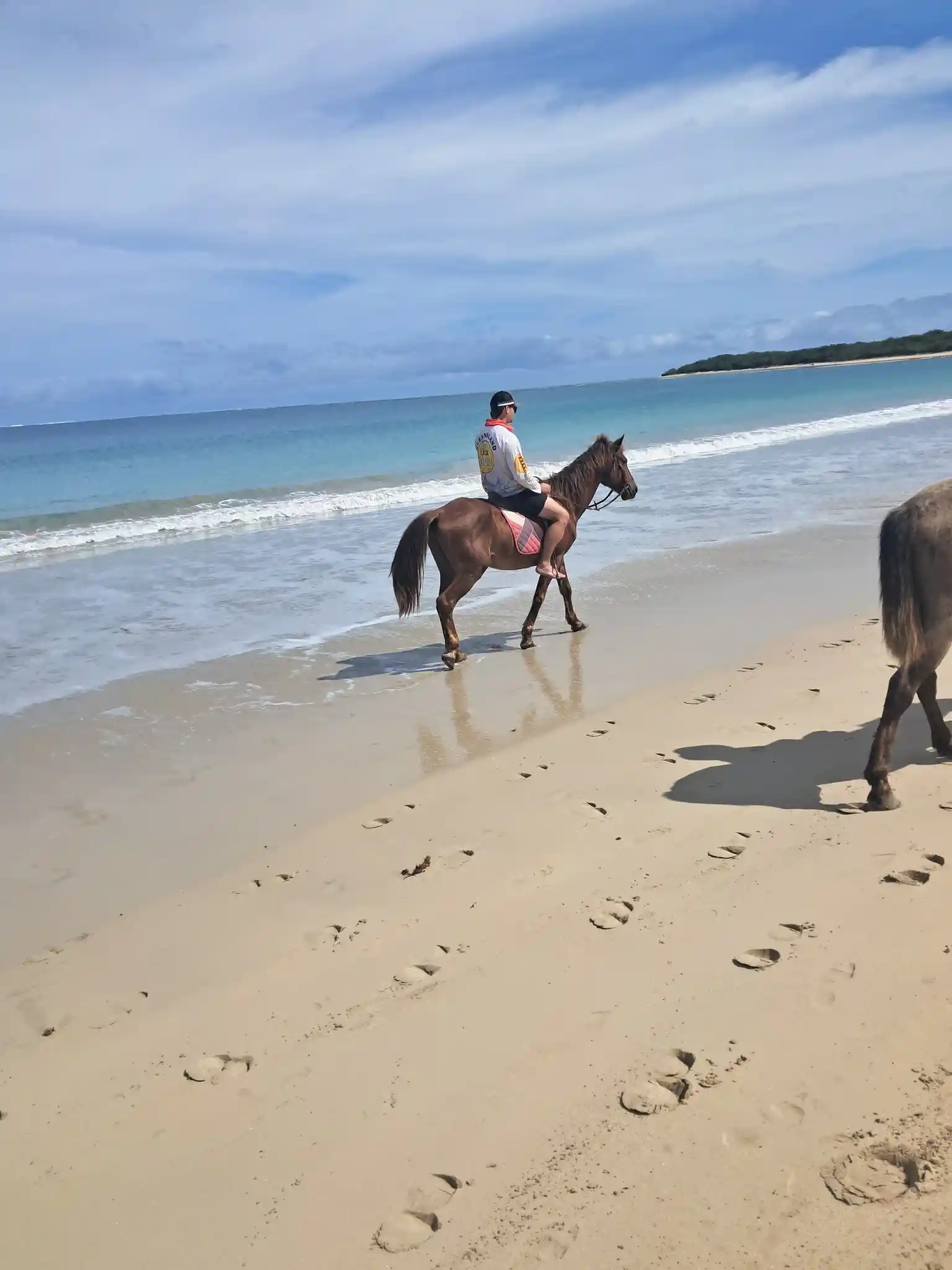 Togas Fiji Tours – Authentic Tours & Horse Riding in Fiji 2