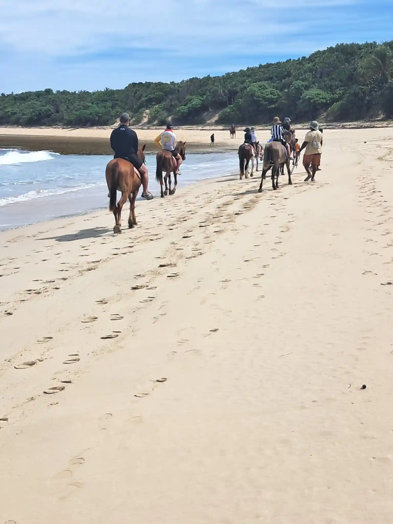 Togas Fiji Tours – Authentic Tours & Horse Riding in Fiji 4