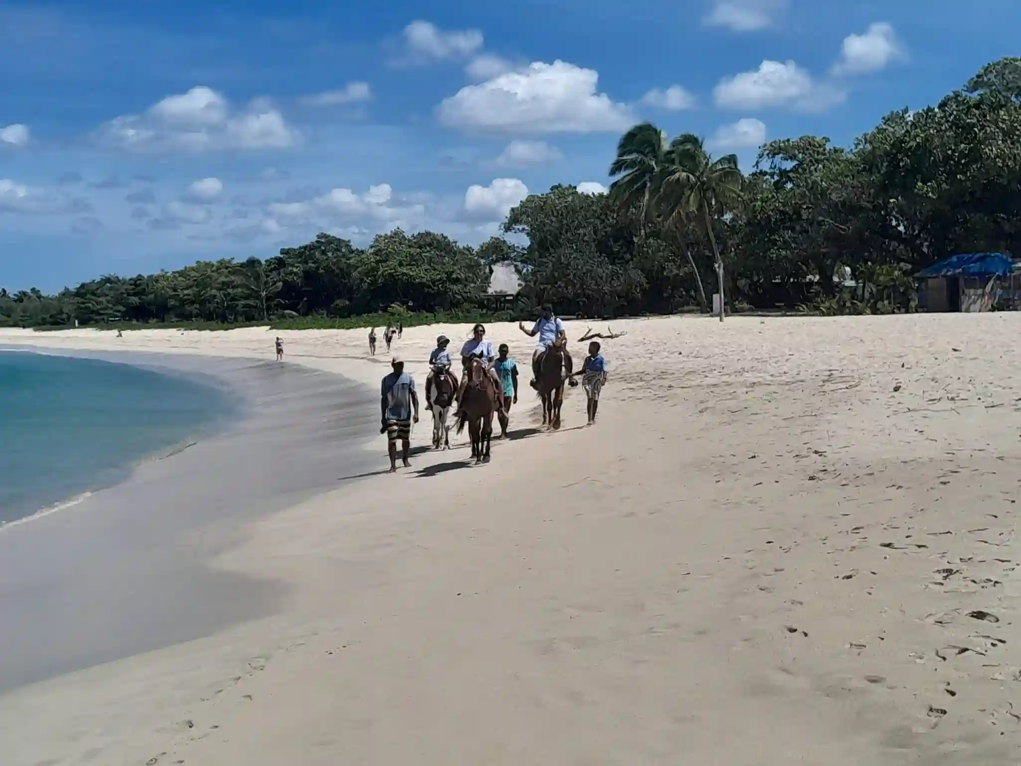 Togas Fiji Tours – Authentic Tours & Horse Riding in Fiji 5