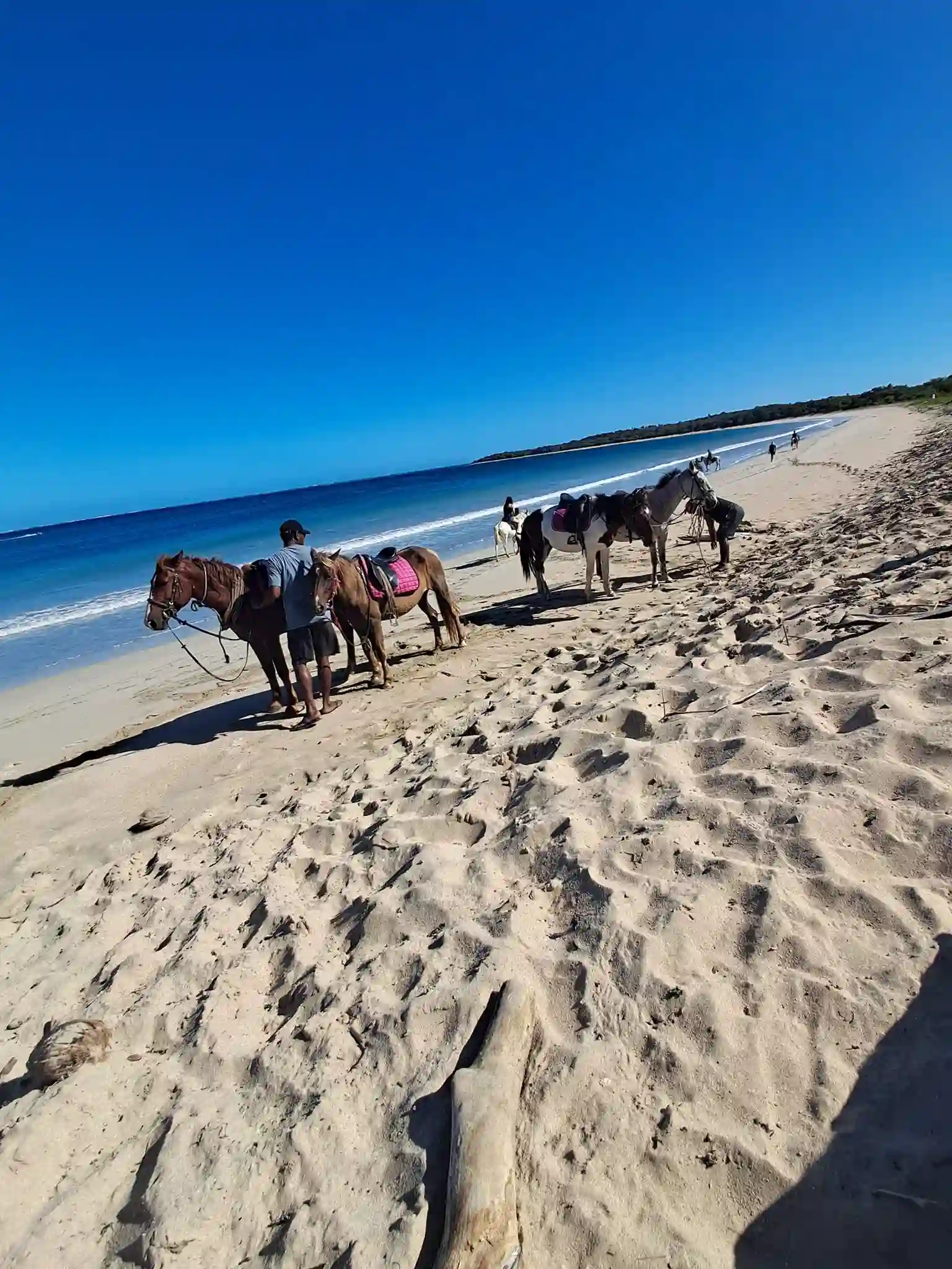 Togas Fiji Tours – Authentic Tours & Horse Riding in Fiji 6
