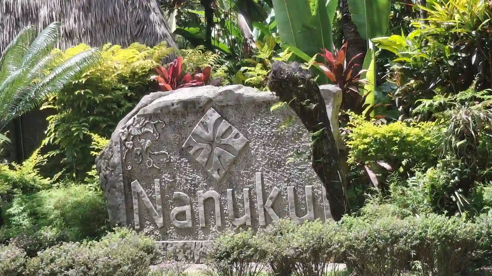 Locally Owned Airport Transfers & Tours in Nadi, Fiji 5