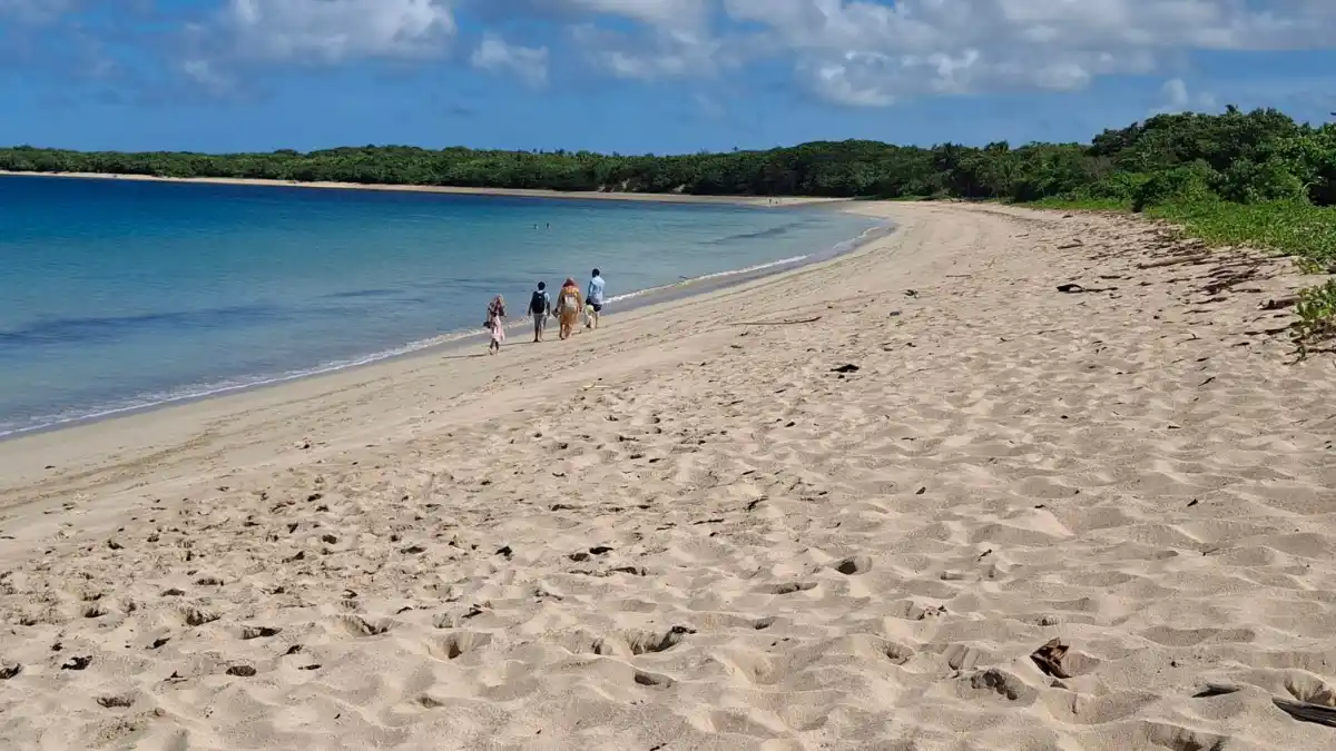 Fiji Taxi Tours & Airport Transfers in Nadi | Private Tours & Transfers Fiji 2