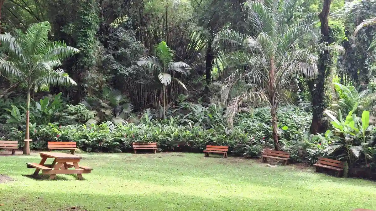 Fiji Taxi Tours & Airport Transfers in Nadi | Private Tours & Transfers Fiji 3